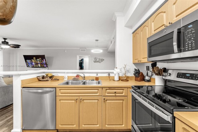 6831 SW 44th St Unit 112, Miami, FL 33155 - kitchen with a sink, stainless steel appliances, a peninsula, crown molding, and light countertops