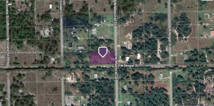 410 N Mayoral St, Montura Ranches, Clewiston, FL 33440 - photo 4