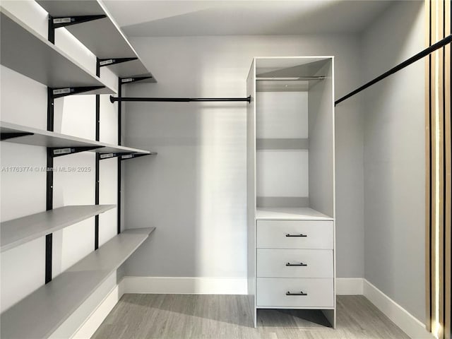 1770 E Las Olas Blvd Unit 302, Fort Lauderdale, FL 33301 - walk in closet with light wood-style floors
