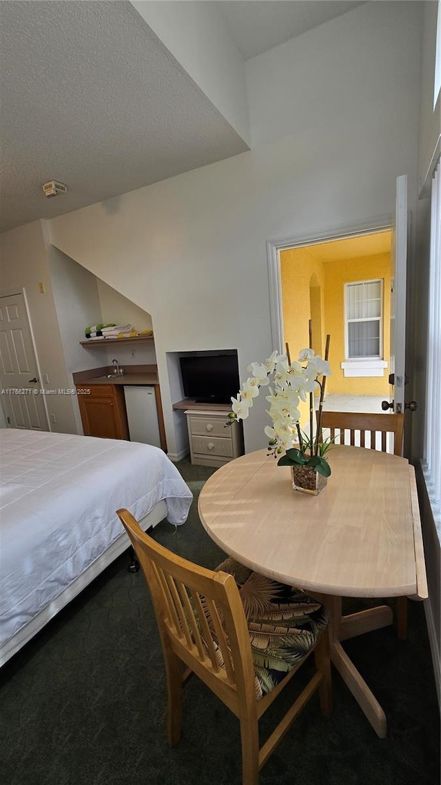 1013 Park Ridge Cir, Kissimmee, FL 34746 - carpeted bedroom with a textured ceiling and a sink