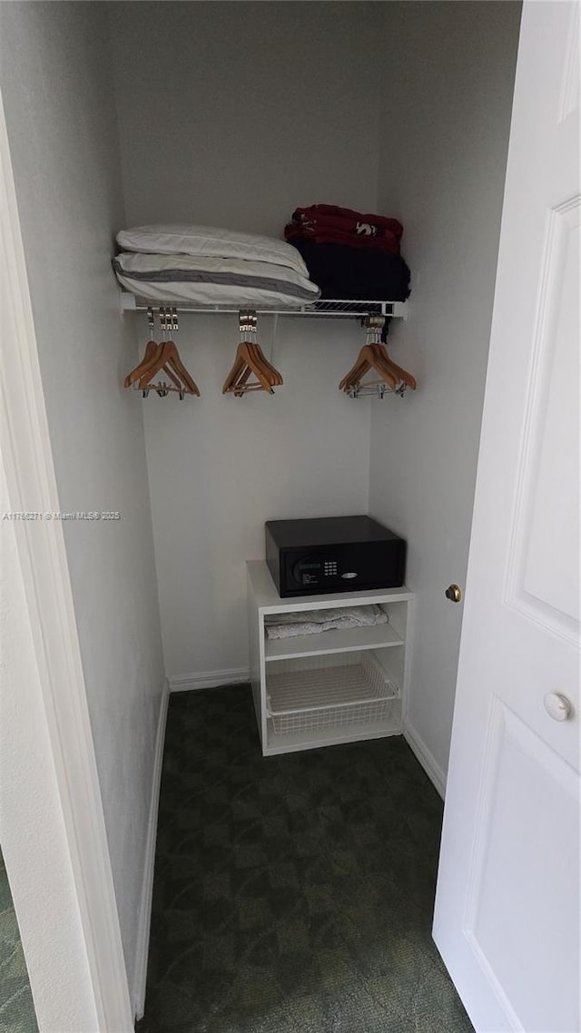 1013 Park Ridge Cir, Kissimmee, FL 34746 - view of closet