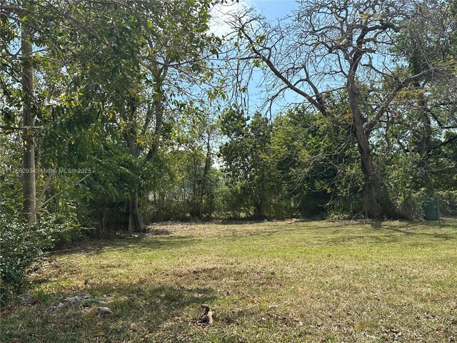 3630 William Ave, Miami, FL 33133 - photo 1