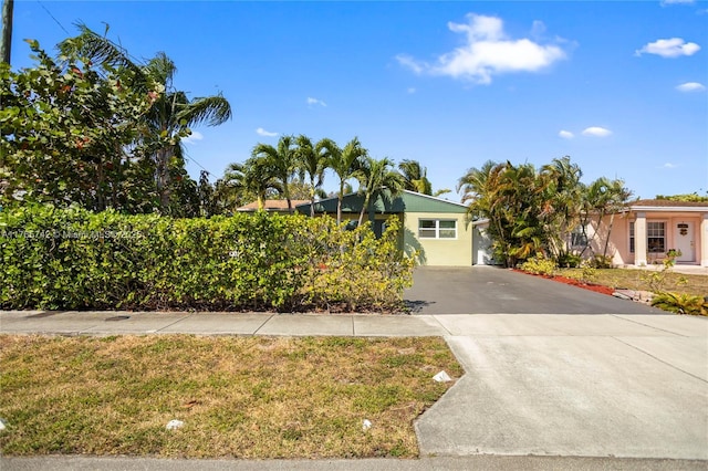 5233 NE 4th Ave, Oakland Park, FL 33334 - view of property hidden behind natural elements with concrete driveway and stucco siding