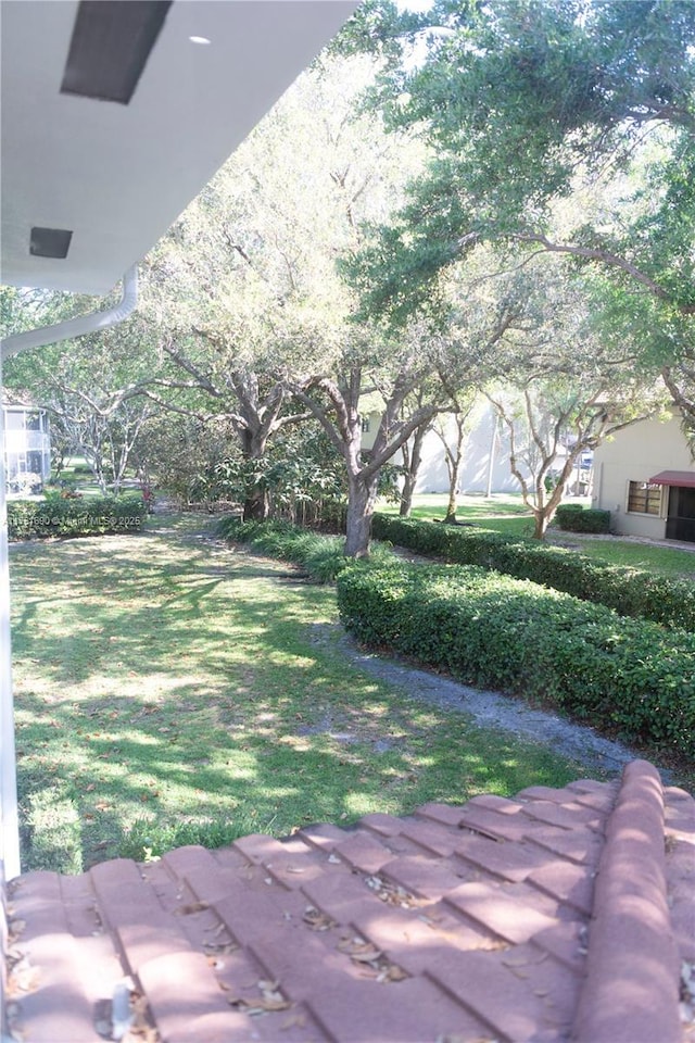 9203 NW 9th Ct, Plantation, FL 33324 - view of yard