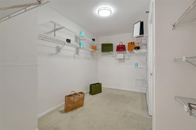 4000 Towerside Ter Unit 302, Miami, FL 33138 - walk in closet with carpet