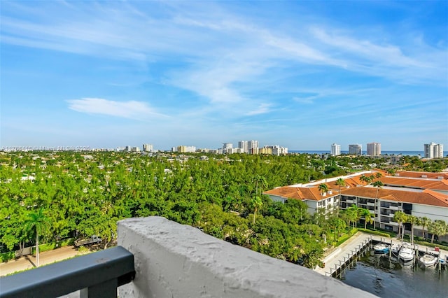 aerial view featuring a view of city and a water view