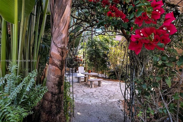 view of patio / terrace featuring outdoor dining area