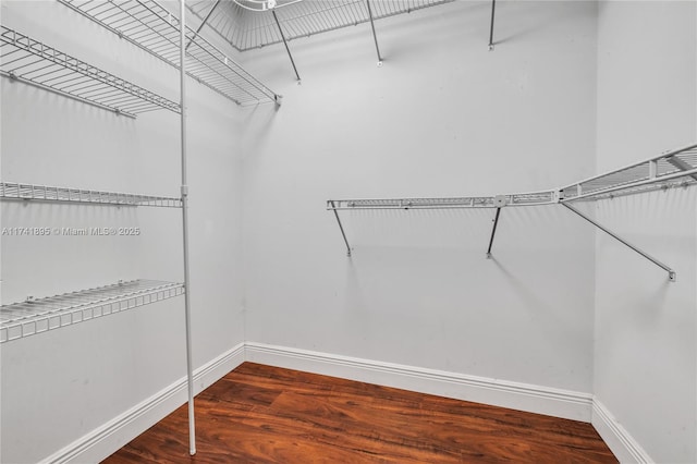 walk in closet featuring wood finished floors