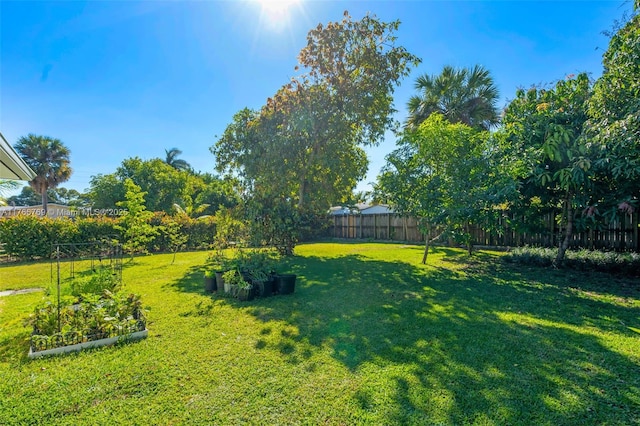 view of yard featuring a vegetable garden and a fenced backyard