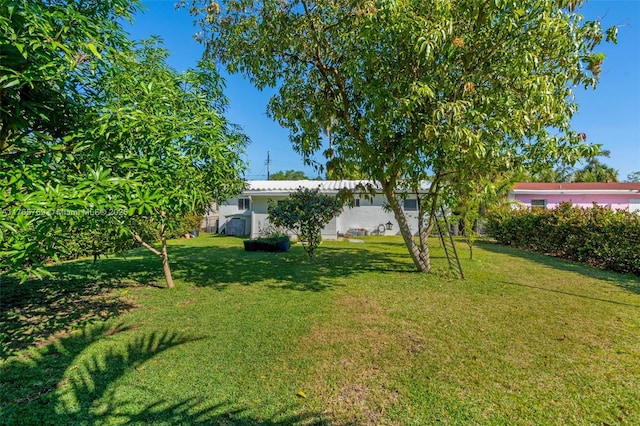 view of yard
