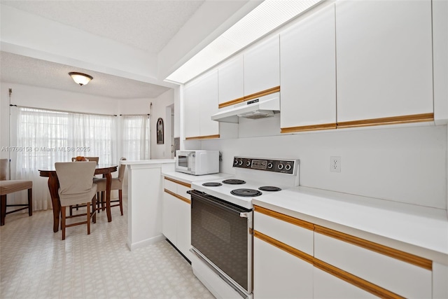 12950 SW 4th Ct Unit 309H, Pembroke Pines, FL 33027 - kitchen featuring under cabinet range hood, white cabinetry, white appliances, light countertops, and light floors