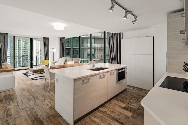 kitchen with dark wood-type flooring, expansive windows, open floor plan, and a sink