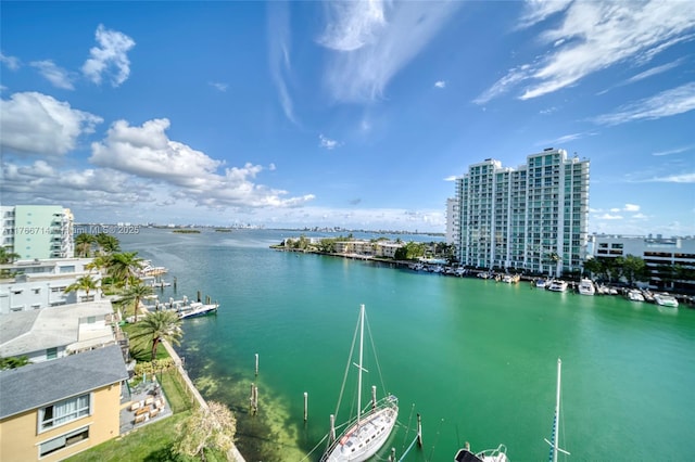 water view featuring a city view