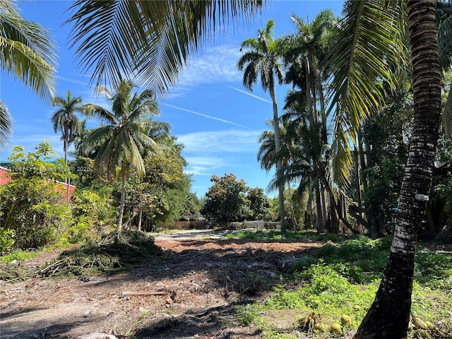 11805 NW 22nd Ct, Miami FL, 33167 land for sale