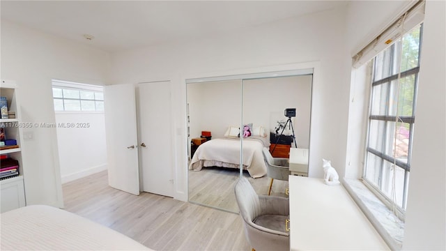 bedroom featuring multiple windows and light wood-type flooring