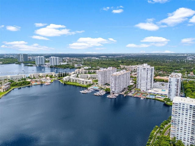 aerial view with a water view and a view of city