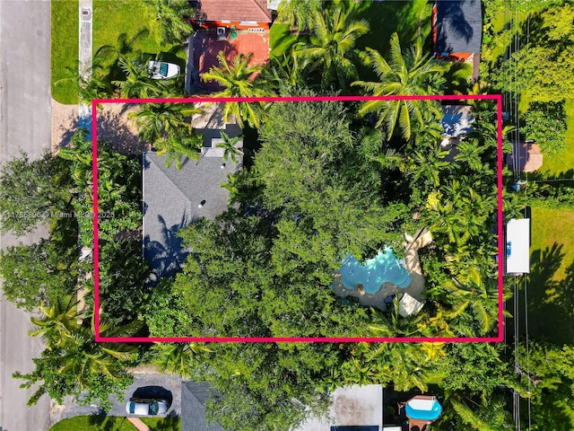 drone / aerial view