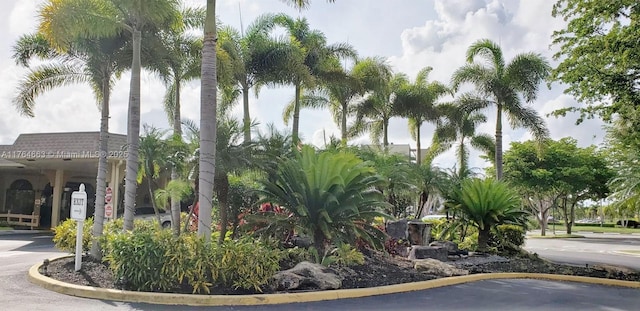 view of community