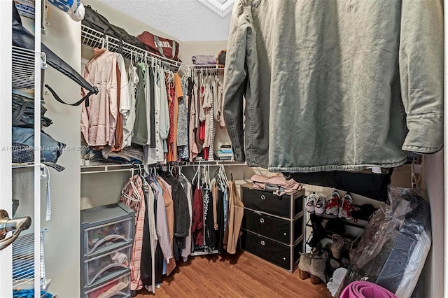 772 NW 132nd Ave, Plantation, FL 33325 - walk in closet featuring wood finished floors