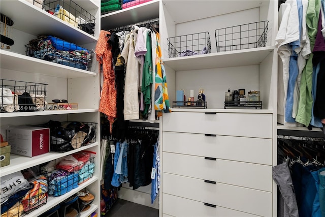 view of spacious closet
