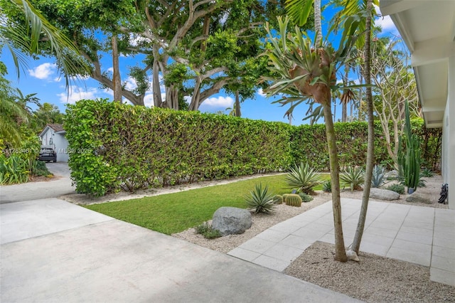 1040 NE 85th St, Miami, FL 33138 - view of green lawn featuring a patio