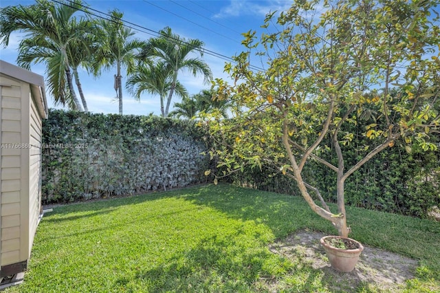view of yard featuring fence