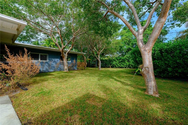 view of yard