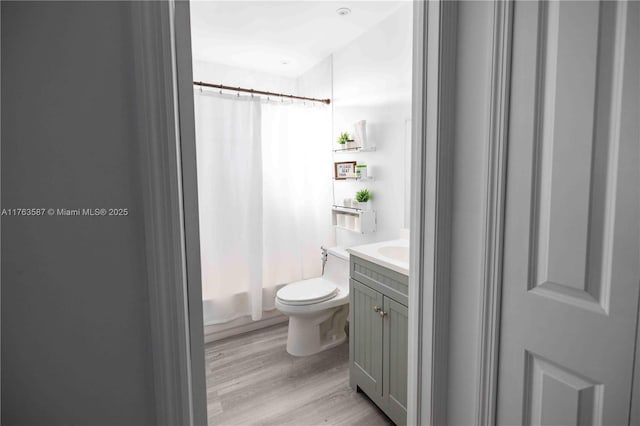 14016 SW 160th St, Miami, FL 33177 - full bath with toilet, wood finished floors, and vanity