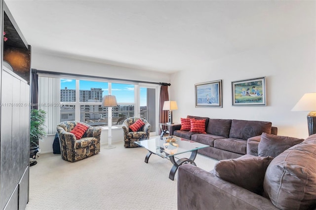 living room featuring a view of city and carpet