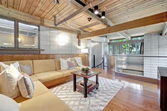 2410 SW 29th Way, Fort Lauderdale, FL 33312 - living room with wood finished floors, wooden ceiling, beamed ceiling, wooden walls, and track lighting