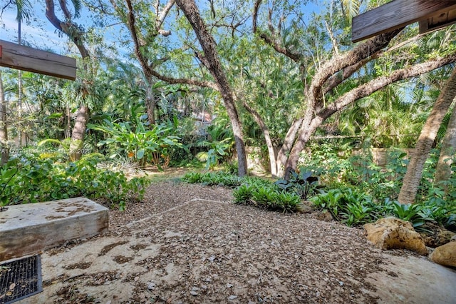 2410 SW 29th Way, Fort Lauderdale, FL 33312 - view of yard