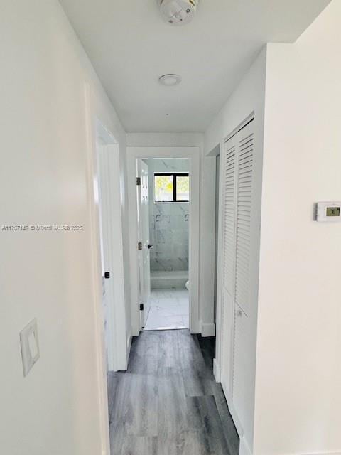 11730 NW 3rd Ave, Miami, FL 33168 - hallway with wood finished floors and baseboards