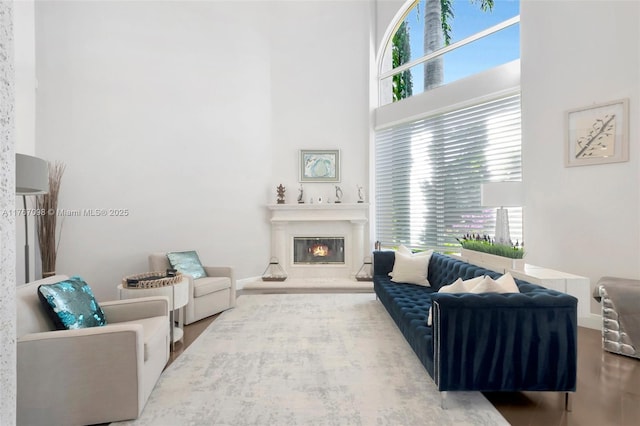 living room featuring a glass covered fireplace, a high ceiling, and a healthy amount of sunlight