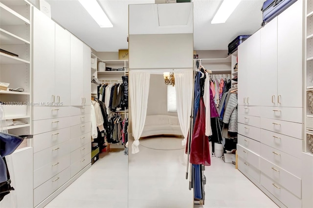view of spacious closet