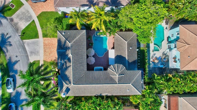 bird's eye view