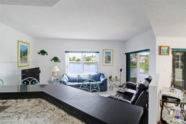 living room featuring a textured ceiling