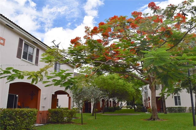 17347 NW 7th Ave Unit 907, Miami Gardens, FL 33169 - view of yard