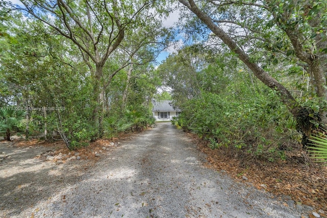 view of road with driveway