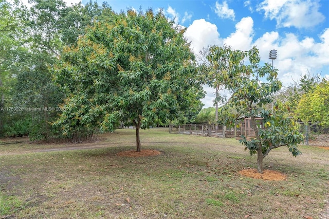 view of yard
