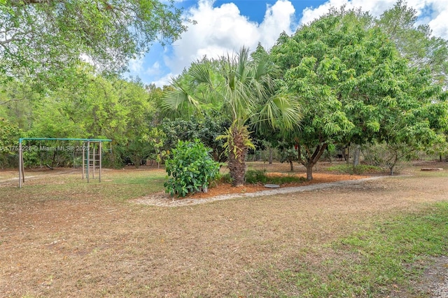 view of yard featuring a detached carport