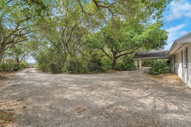 view of yard featuring driveway