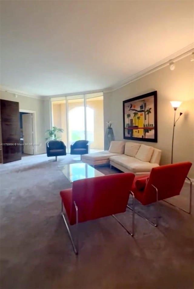 living room featuring floor to ceiling windows, carpet floors, and crown molding