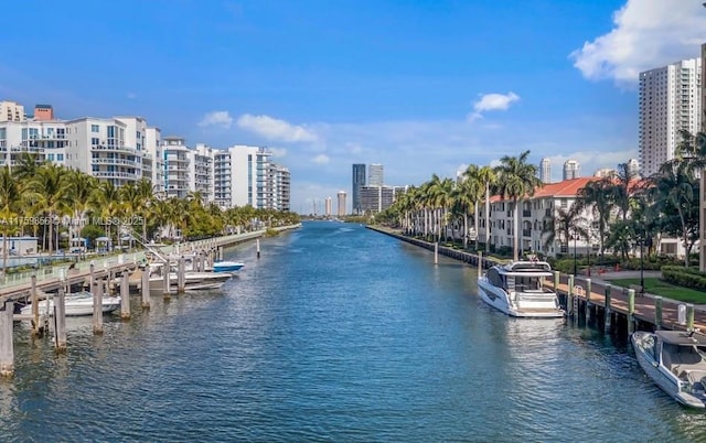 water view with a dock