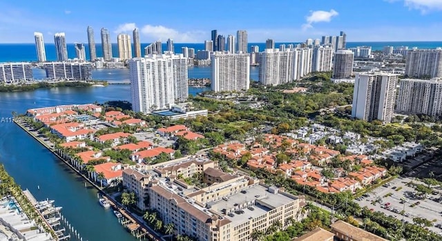 aerial view featuring a city view and a water view