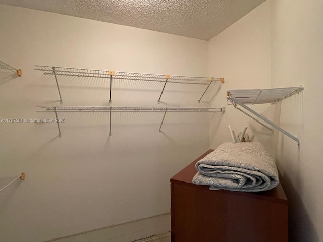20281 E Country Club Dr Unit 810, Aventura, FL 33180 - view of spacious closet