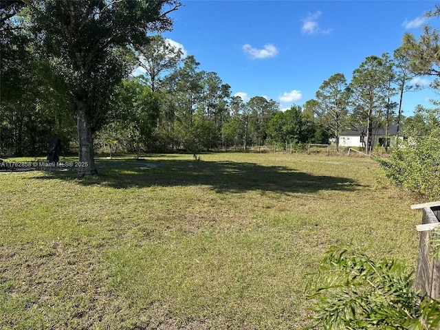 909 Canton Ave, Lehigh Acres, FL 33972 - photo 9