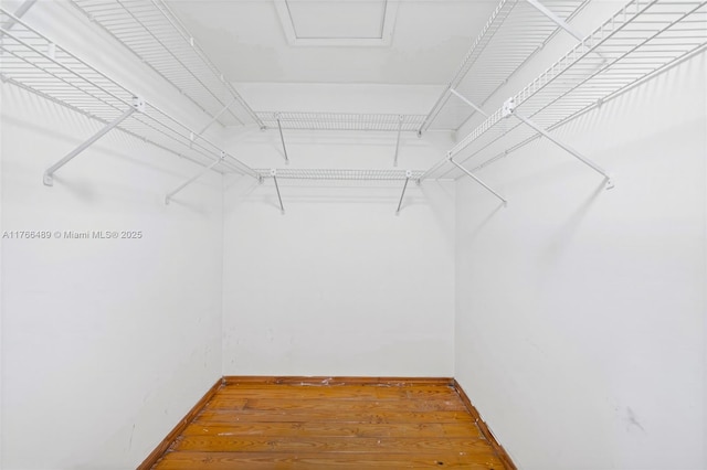 spacious closet featuring wood finished floors
