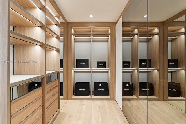 walk in closet featuring wood finished floors