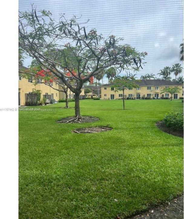 view of home's community with a yard