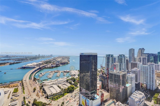 601 NE 1st Ave Unit 5115, Miami, FL 33132 - drone / aerial view of a large body of water, a skyline view, and numerous boat docks